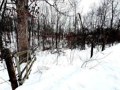 IMG_20250116_135129