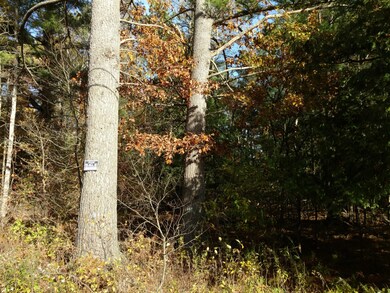 IMG_20171019_155032858