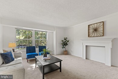 7680 Tremayne Place unit 305, McLean, VA 22102 - photo 5