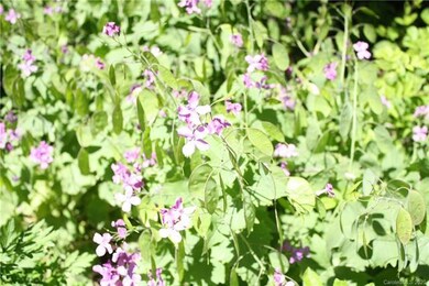 TBD Seay Rd, Lower Hominy, NC 28715 - photo 5