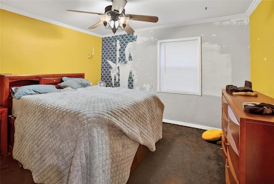 7800 11th St N, Saint Petersburg, FL 33702 - photo 7