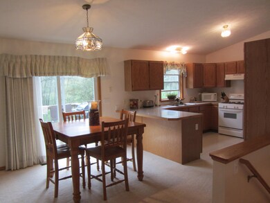 13385 Burroughs St, Lowell, MI 49331 - photo 3