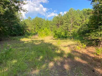 Crook Rd 3(cleared area)