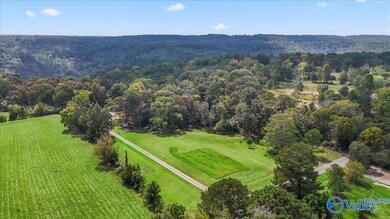 572 McDermont Rd, Union Grove, AL 35175 - photo 6