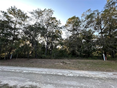 TBD NE 155 Ct, Williston, FL 32696 - photo 2
