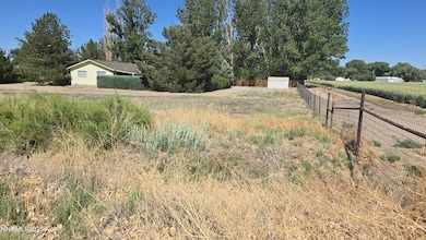 012-131-26 Mason Rd, Yerington, NV 89447 - photo 6