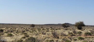 6232 S Prairie Grass Ln unit 294, Williams, AZ 86046 - photo 7