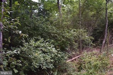 7 McKees Gap Rd, Warfordsburg, PA 17267 - photo 4