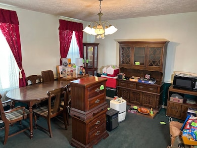 154 S Richhill St, Waynesburg, PA 15370 - photo 5