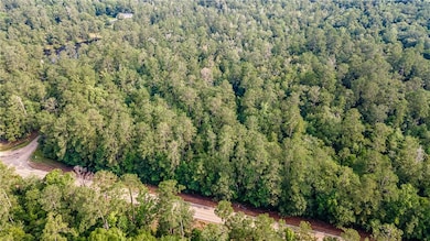 0 Lee Settlement Rd, Folsom, LA 70437 - photo 5