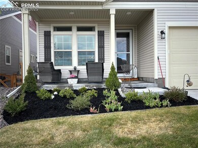 Front yard with newly planted shrubbery and black 