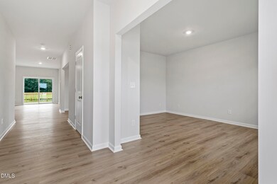 132 Sagamore Ave unit Lot 28, Angier, NC 27501 - photo 2