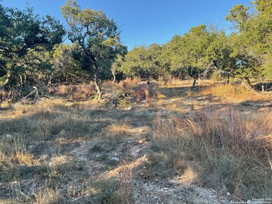 113 Champion Way, Spring Branch, TX 78070 - photo 7