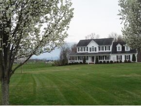 142 Butchertown Rd, Fall Branch, TN 37656 - photo 7