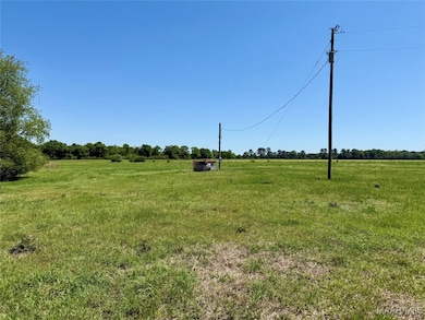 11.25 Acres Huskey Rd, Dothan, AL 36303 - photo 5