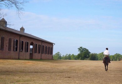 Peaceful Ambiance for Horse & Rider