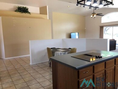 7 Rosewood Cir, Silver City, NM 88061 - photo 5