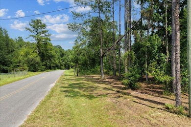 2759 SW Wonderwood St, Greenville, FL 32331 - photo 6