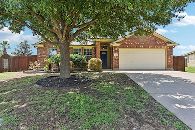 217 Newport Landing Place, Round Rock, TX 78665 - photo 3