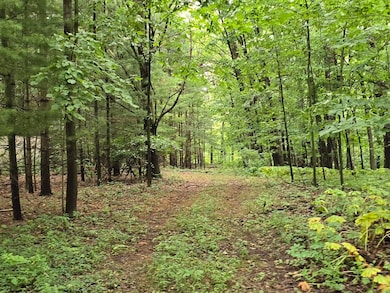 vl Lehring Rd, Durand, MI 48429 - photo 3