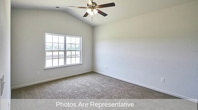 Cal_Gray_Cabinets (5)