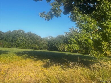 02 Howland Rd, Almont Township, MI 48003 - photo 7