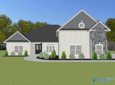 Durham-B Newby Chapel Rd, Athens, AL 35613 - photo 4