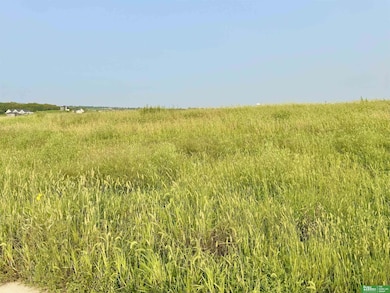 12031 S 229th St, Gretna, NE 68028 - photo 4