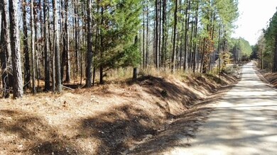 1 Lee Road 333, Salem, AL 36874 - photo 6