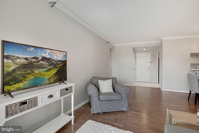The Charleston unit 403, Arlington, VA 22201 - photo 4