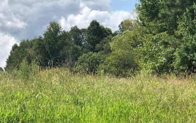 00 52 E, Ellijay, GA 30540 - photo 3