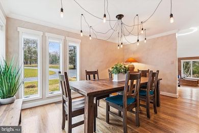 19 Brook Farm Ct, Cockeysville, MD 21030 - photo 6