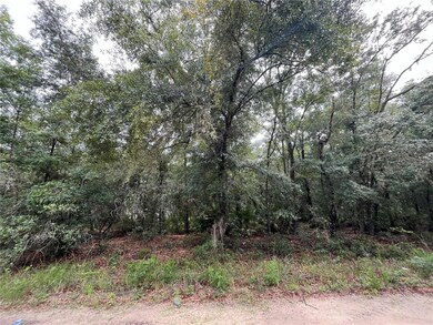 TBD Rintz St, Interlachen, FL 32148 - photo 4