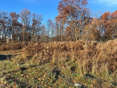 12873 Triple Oak Dr NE unit 13, Vergennes Township, MI 49331 - photo 4