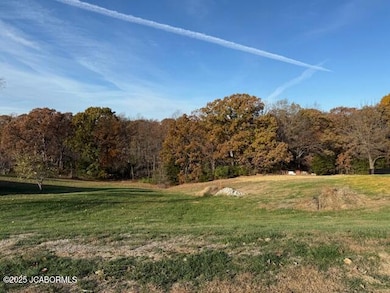 2043 Sterling Ridge Dr, Summit Township, MO 65043 - photo 2