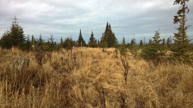 240 acre (4)