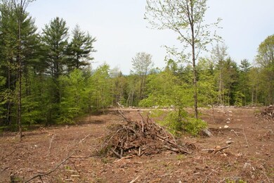 View from rear of lot