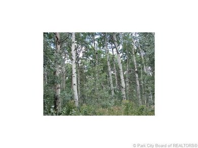 Land/Lot.