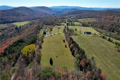 Lot 5.71 John Shultis Rd, Roxbury, NY 12474 - photo 4