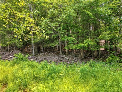 TBD Boulder Brook Lot 13b Rd, Windham, NY 12496 - photo 5