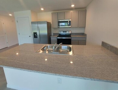 34026 Soaring Bamboo Path, Wesley Chapel, FL 33543 - photo 3