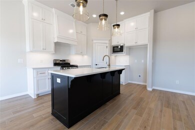 Kitchen with stainless steel range oven, light har