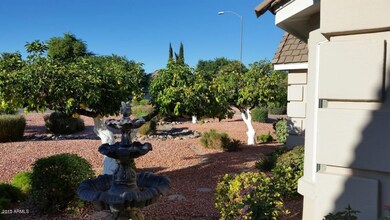 3737 E Palm St, Mesa, AZ 85215 - photo 5