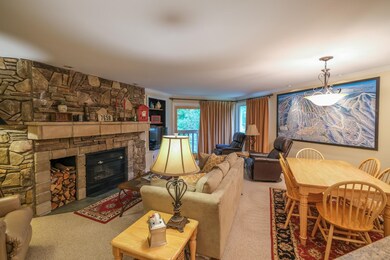 32 Route 103 S unit F4, Ludlow, VT 05149 - photo 3