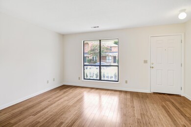 Lots of Natural Light