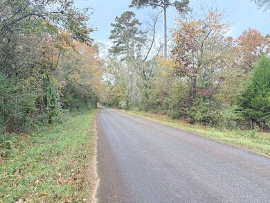 Tbd Union Church Rd unit LotWP001, Magnolia, MS 39652 - photo 2
