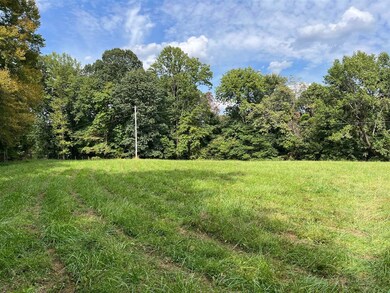 Tract 3 Old Gainesville Rd, Scottsville, KY 42164 - photo 4