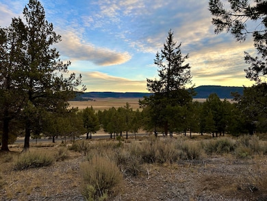 0 Murrelet unit Lot 1192 220174096, Klamath Falls, OR 97601 - photo 3