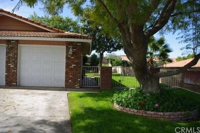 WIDE SIDE YARD WITH SHADE TREE