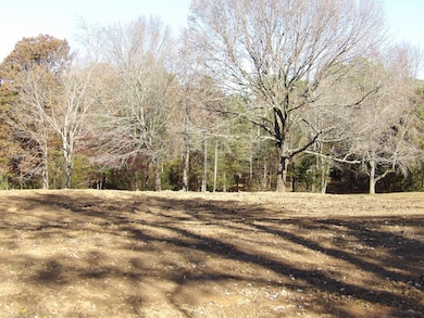 470 Powers Blvd, Waverly, TN 37185 - photo 7